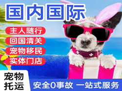 宜昌三峡航空托运国际宠物托运 【国